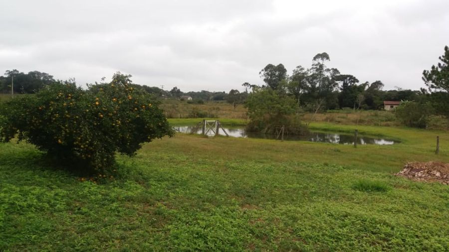 Ch�cara - Venda - Caju - Nova Santa Rita - RS
