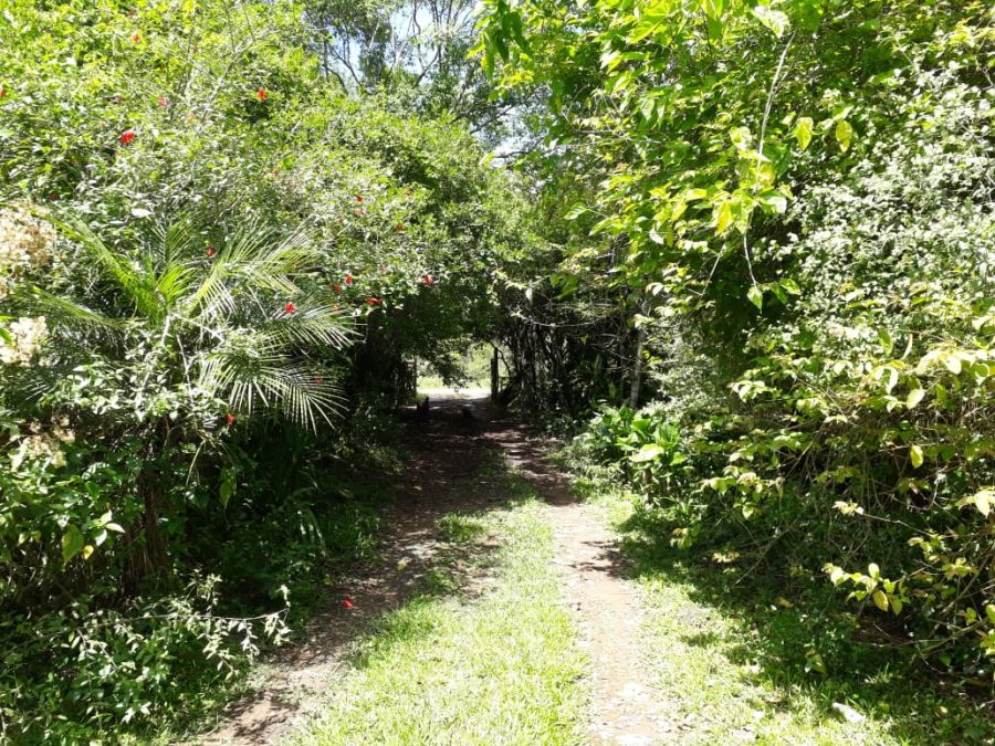 Chácara - Venda - Morretes - Nova Santa Rita - RS